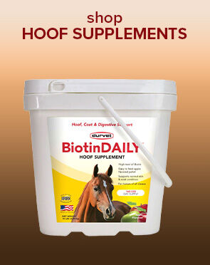 Shop Hoof Supplements